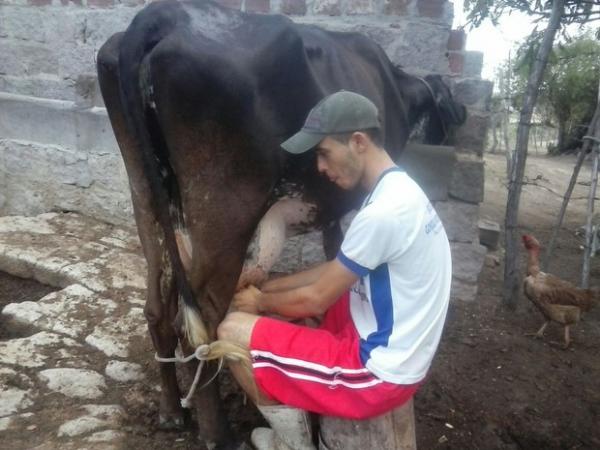 Jovem concilia estudos com trabalho no campo em PE e passa em medicina