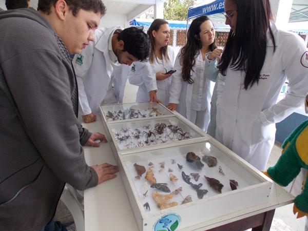 Preocupação com o ambiente aumenta o mercado para o biólogo